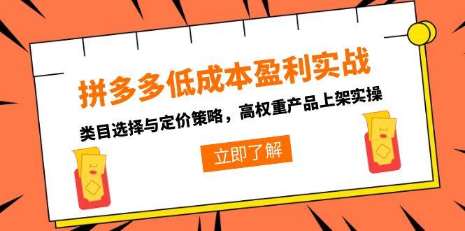 拼多多低成本盈利实战，类目选择与定价策略，高权重产品上架实操-缘艺创业网
