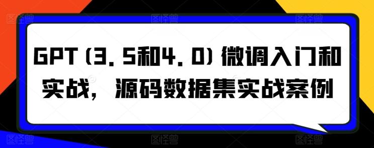 GPT(3.5和4.0)微调入门和实战，源码数据集实战案例-缘艺创业网