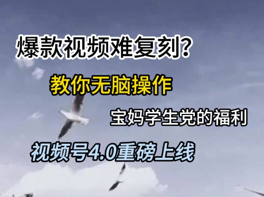视频号4.0重磅上线，爆款视频难复刻？教你无脑操作宝妈学生党的福利【揭秘】-缘艺创业网