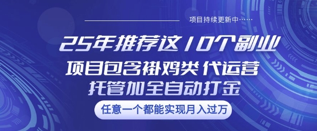 25年推荐这10个副业项目包含褂鸡类、代运营托管类、全自动打金类【揭秘】-缘艺创业网