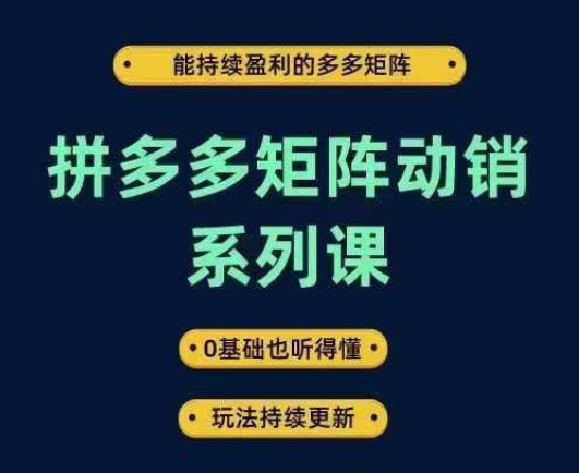 拼多多矩阵动销系列课，能持续盈利的多多矩阵，0基础也听得懂，玩法持续更新-缘艺创业网