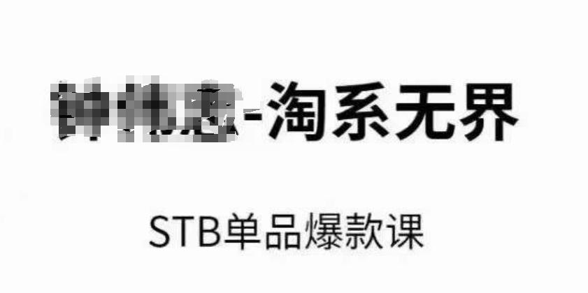 淘系无界STB单品爆款课(2024)，付费带动免费的核心逻辑，万相台无界关键词推广/精准人群的核心-缘艺创业网