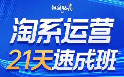 白凤电商·淘系运营21天速成班(更新6月)-缘艺创业网