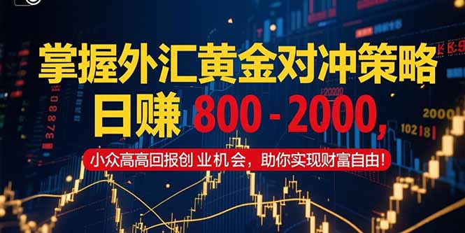 掌握外汇黄金对冲策略，日赚 800 – 2000，小众高回报创业机会，助你实…-缘艺创业网