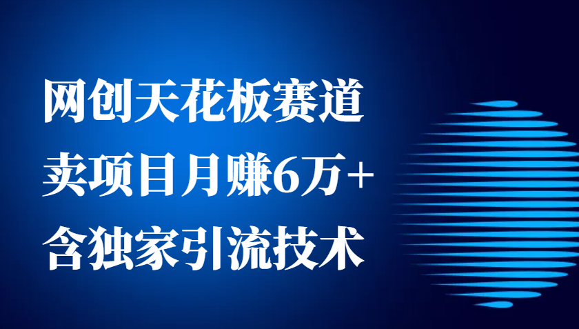 网创天花板赛道，卖项目月赚6万+，含独家引流技术(共26节课)-缘艺创业网