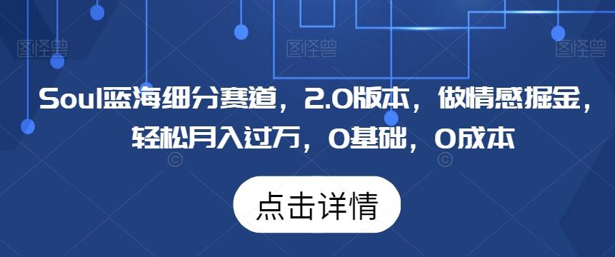 Soul蓝海细分赛道，2.0版本，做情感掘金，轻松月入过万，0基础，0成本-缘艺创业网