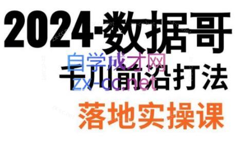 数据哥·2024年千川前沿打法落地实操课-缘艺创业网