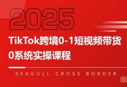 大亿老师·TikTok跨境0-1短视频带货-缘艺创业网