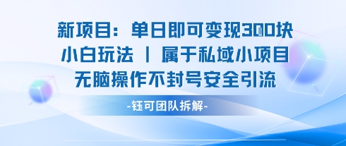 新项目单日即可变现3张的小白玩法无脑操作不封号安全引流-缘艺创业网