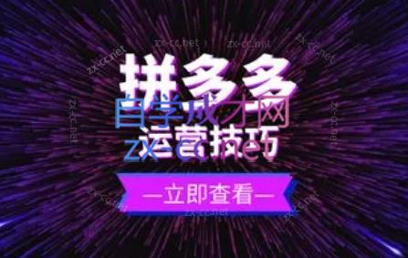 力辛电商·拼多多强付费店群玩法-缘艺创业网