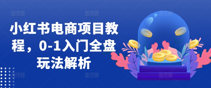 小红书电商项目教程，0-1入门全盘玩法解析-缘艺创业网