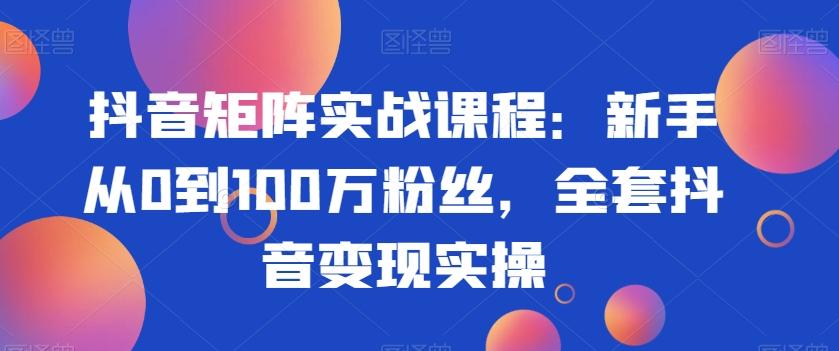 抖音矩阵实战课程：新手从0到100万粉丝，全套抖音变现实操-缘艺创业网