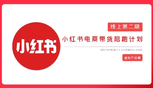 2025小红书虚拟电商实战课-缘艺创业网