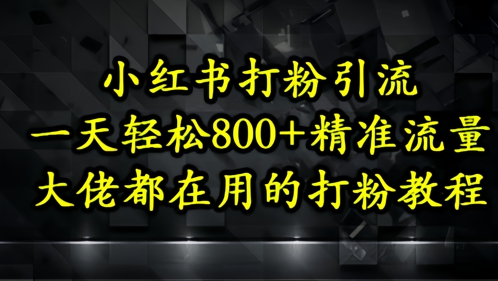 小红书打粉引流，一天轻松500+精准流量，大佬都在用的打粉教程-缘艺创业网