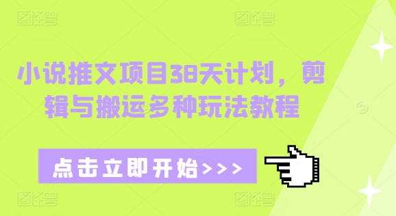 小说推文项目38天计划，剪辑与搬运多种玩法教程-缘艺创业网