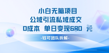 小白无脑项目公域引流私域成交0成本单日变现680米-缘艺创业网