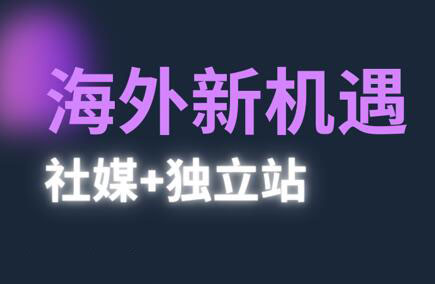 棕榈·2025出海新机遇(社媒+独立站)-缘艺创业网