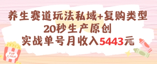 养生赛道玩法私域+复购类型，20秒生产原创实战单号月收入5k+-缘艺创业网