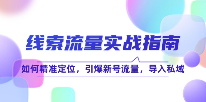 线 索 流 量-实战指南：如何精准定位，引爆新号流量，导入私域-缘艺创业网