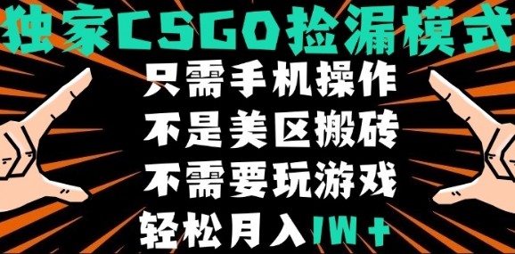 CSGO自动捡漏项目，最新独家玩法，不是美区搬砖，不需要了解和玩游戏，新手小白轻松月入1W+【揭秘】-缘艺创业网