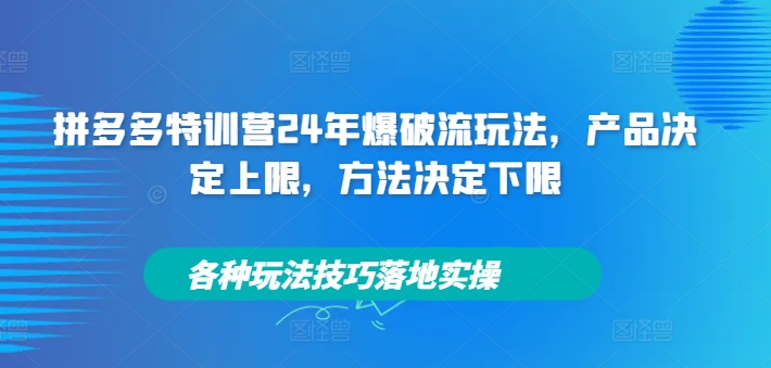 拼多多特训营24年爆破流玩法，产品决定上限，方法决定下限，各种玩法技巧落地实操-缘艺创业网