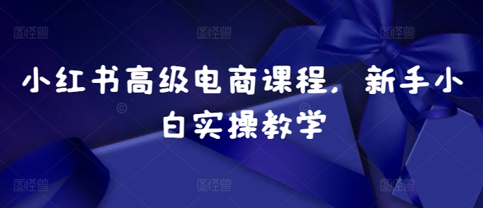 小红书高级电商课程，新手小白实操教学-缘艺创业网