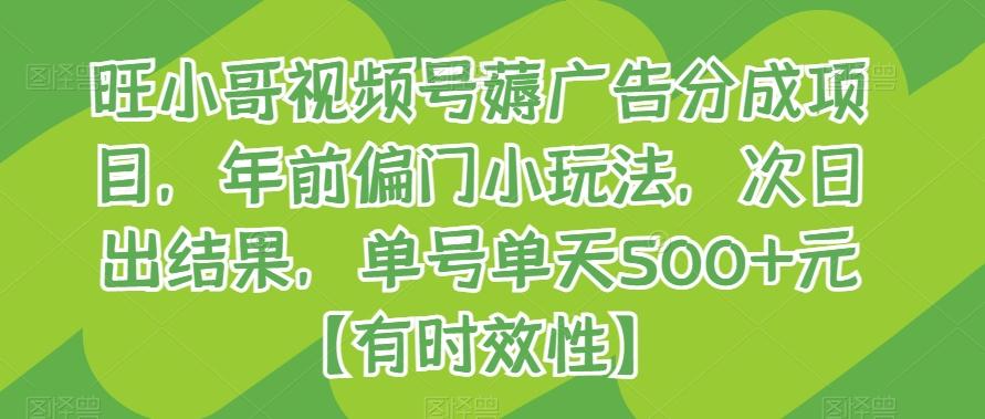 旺小哥视频号薅广告分成项目，年前偏门小玩法，次日出结果，单号单天500+元【有时效性】-缘艺创业网