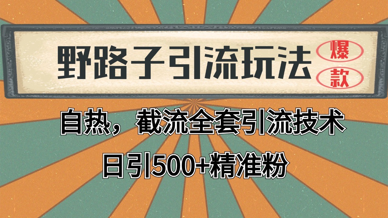 2024首发野路子引流玩法截流自热全平台打法，全自动引流【日引2000+精准客户】-缘艺创业网