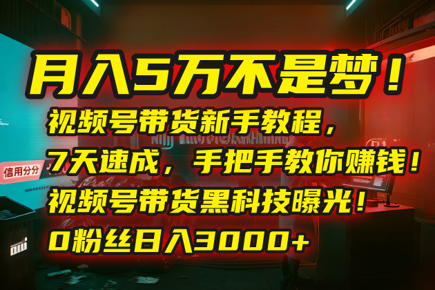 月入5万不是梦！视频号带货新手教程，7天速成，手把手教你赚钱！视频号…-缘艺创业网