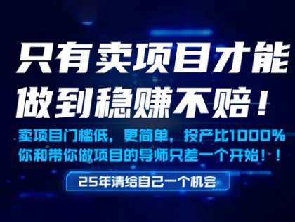 只有卖项目才能做到稳挣不赔，门槛低，更简单，你也可以年入百个W【揭秘】-缘艺创业网
