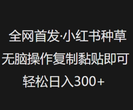 全网首发，小红书种草无脑操作，复制黏贴即可，轻松日入3张-缘艺创业网
