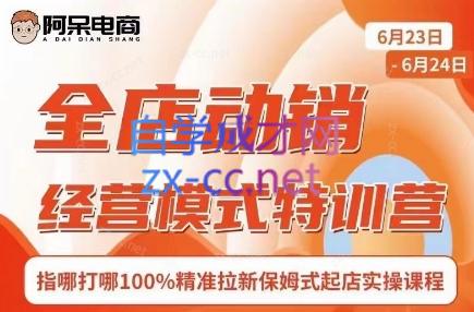 阿呆电商·全店动销经营模式特训营(线下录音+思维导图)-缘艺创业网