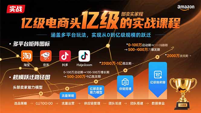 亿级电商头部卖家的实战课程：涵盖多平台玩法，实现从0到亿级规模的跃迁-缘艺创业网