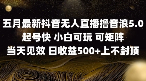 2025五月最新无人直播撸音浪单日产出5张+实操教程【揭秘】-缘艺创业网