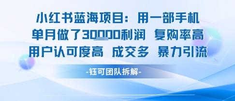 小红书蓝海项目，一部手机单月做了3W利润，小白也能月入过1W用户认可度高成交多-缘艺创业网