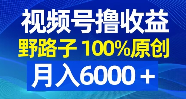 视频号野路子撸收益，100%原创，条条爆款，月入6000＋【揭秘】-缘艺创业网