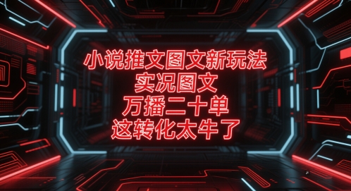 小说推文图文新玩法，实况图文，万播二十单，这转化太牛了！-缘艺创业网