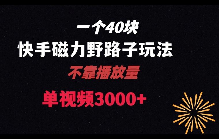 一个40块，快手联合美团磁力新玩法，无视机制野路子玩法，单视频收益4位数【揭秘】-缘艺创业网