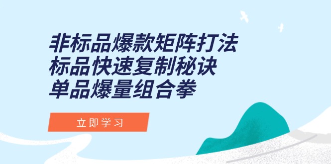 非标品爆款矩阵打法，标品快速复制秘诀，单品爆量组合拳-缘艺创业网