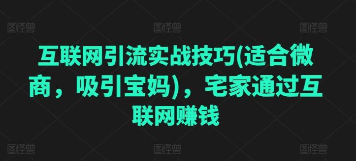 互联网引流实战技巧(适合微商，吸引宝妈)，宅家通过互联网赚钱-缘艺创业网