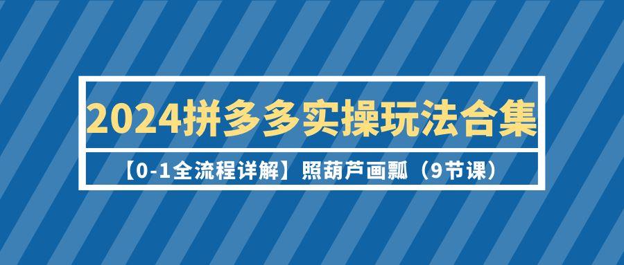 (9559期)2024拼多多实操玩法合集【0-1全流程详解】照葫芦画瓢(9节课)-缘艺创业网
