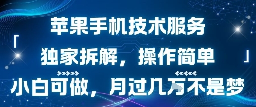 苹果手机技术服务，独家拆解，操作简单，小白可做，月过1W不是梦-缘艺创业网