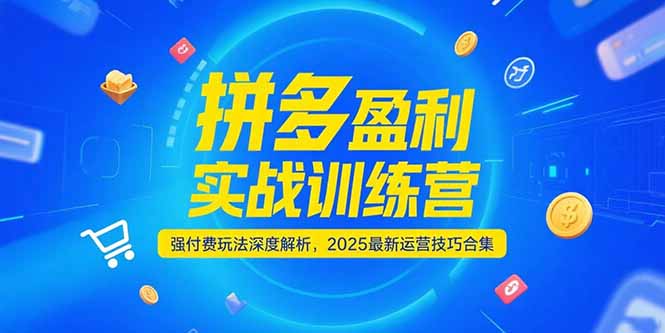拼多多盈利实战训练营，强付费玩法深度解析，2025运营技巧合集-更新6月-缘艺创业网