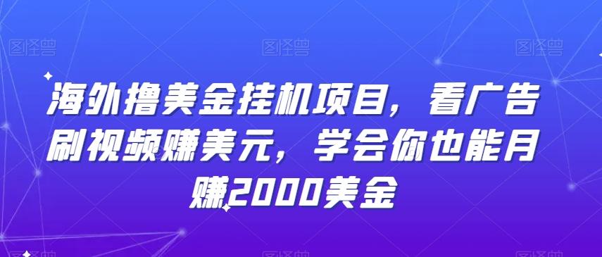 海外撸美金挂机项目，看广告刷视频赚美元，学会你也能月赚2000美金-缘艺创业网