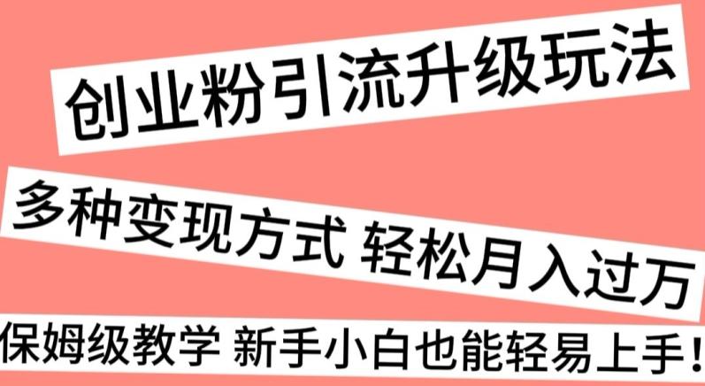 创业粉引流升级玩法，多种变现方式轻松月入过万，保姆级教学新手小白也能轻易上手！-缘艺创业网