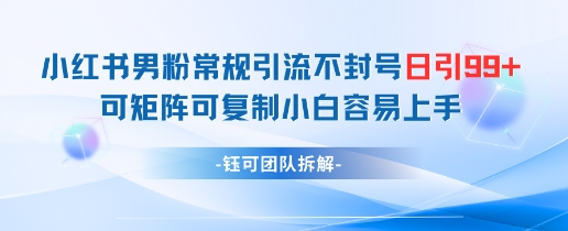 小红书男粉常规引流不封号日引99+变现简单 可矩阵可复制小白容易上手-缘艺创业网