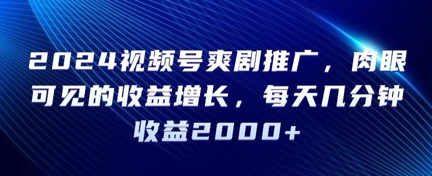 2024视频号爽剧推广，肉眼可见的收益增长，每天几分钟收益2000+【揭秘】-缘艺创业网