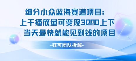 小众蓝海赛道项目：当天变现1k+适合新手操作 +适合长期玩-缘艺创业网