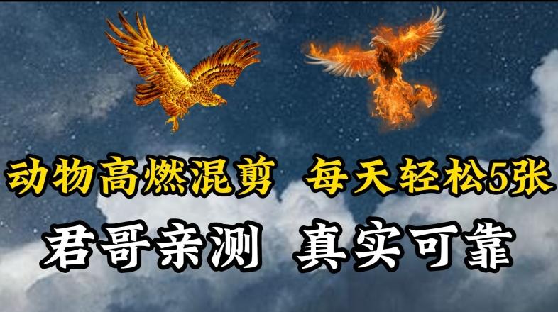 动物超燃混剪，每天轻松5张，剪辑简单大家爱看【揭秘】-缘艺创业网