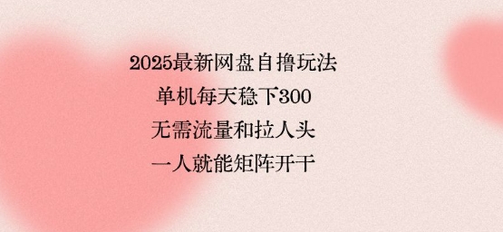 2025最新网盘自撸玩法，单机每天稳下3张，无需流量和拉人头，一个人就可轻松矩阵，全网独一份【揭秘】-缘艺创业网